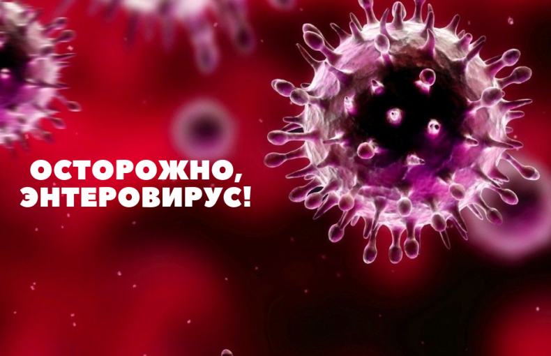 Осторожно! Энтеровирус! Осторожно! Энтеровирус!.